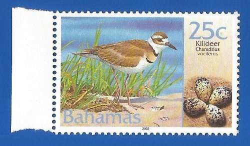Bahamas 2001 Birds and their Eggs -No Gum-Thematic-Fauna-Birds