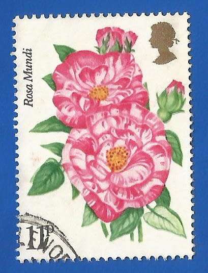 England-Used-Cancel-Thematic-Flora-Flowers