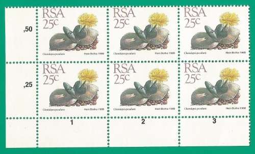 RSA-Stamps-MNH-1988-25c-5th Definitive Issue-Thematic-Flora-Succulents Perf Shifted down