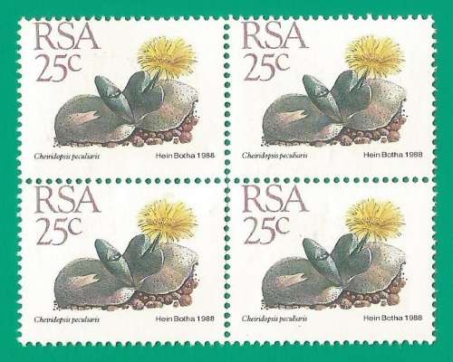 RSA-Stamps-MNH-1988-25c-5th Definitive Issue-Thematic-Flora-Succulents Perf Shifted down