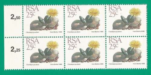 RSA-Stamps-MNH-1988-25c-5th Definitive Issue-Thematic-Flora-Succulents Perf Shifted down