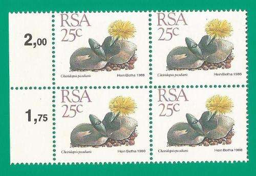 RSA-Stamps-MNH-1988-25c-5th Definitive Issue-Thematic-Flora-Succulents Perf Shifted down
