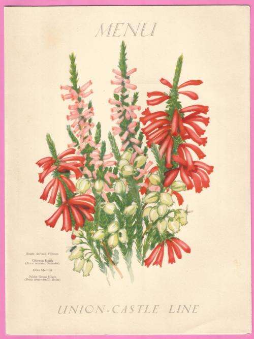 Vintage-Menu-29th May 1937-Union Castle Line-R.M.M.V. Carnarvon Castle