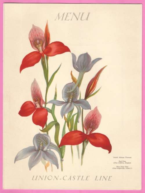 Vintage-Menu-6th June 1937-Union Castle Line-R.M.M.V. Carnarvon Castle