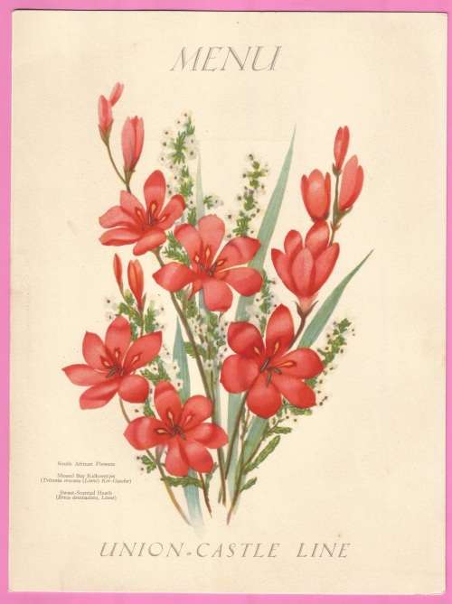 Vintage-Menu-6th June 1937-Union Castle Line-R.M.M.V. Carnarvon Castle