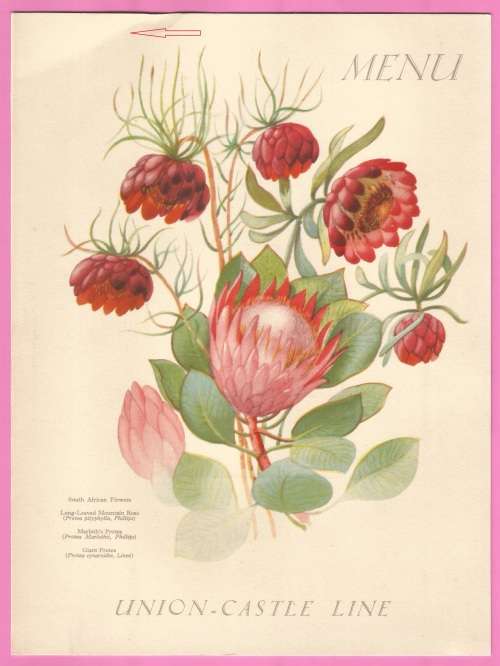 Vintage-Menu-2th June 1937-Union Castle Line-R.M.M.V. Carnarvon Castle