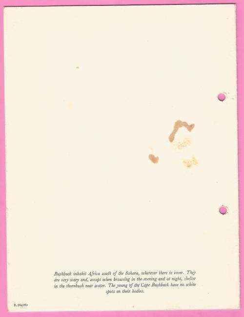 Vintage-Menu-Saturday July 28-1962-Union Castle Line-R.M.S. Transvaal Castle-Toning Noted