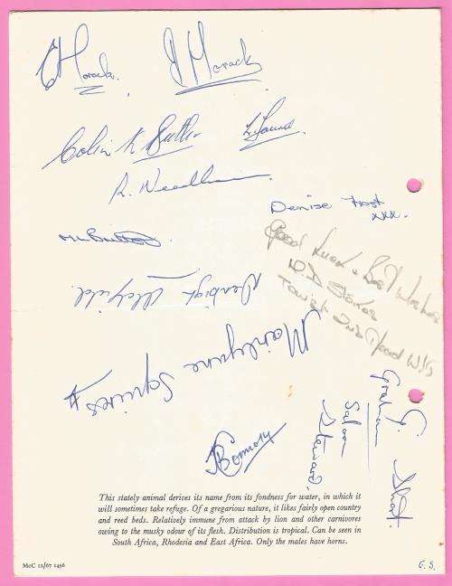 Vintage-Menu-Sunday 15th June-1969-Union Castle Safmarine-S.A. Oranje-Toning Noted