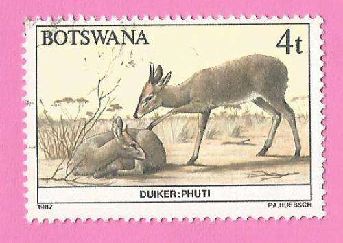 Botswana 1987 Animals of Botswana Duiker-Used-Thematic-Fauna