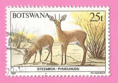 Botswana 1987 Animals of Botswana Steenbuck-Used-Thematic-Fauna