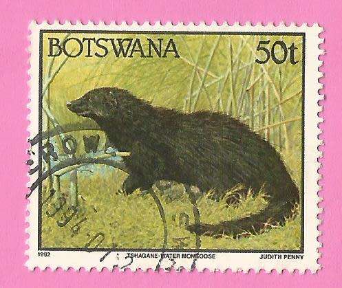 Botswana 1992 Animals Mongoose -Used-Thematic-Fauna