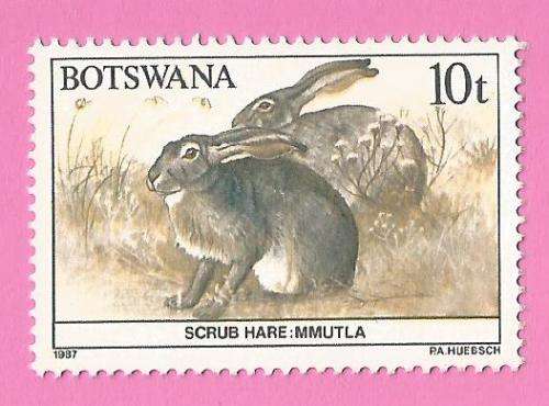 Botswana 1987 Scrub hare-MM-Thematic-Fauna