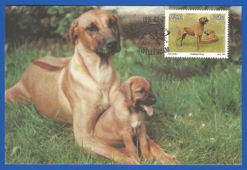 1991-Unused-Pre-Stamped Post Card-Republic of South Africa