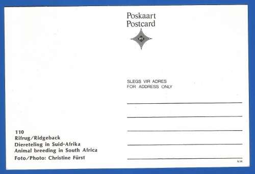 1991-Unused-Pre-Stamped Post Card-Republic of South Africa