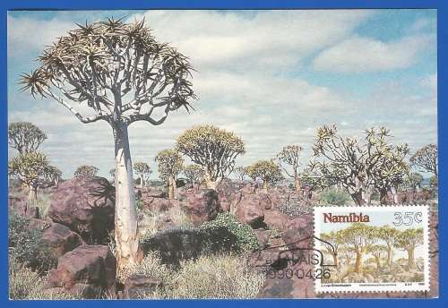Unused-Post Card-South West Africa/Namibia
