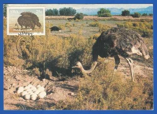 1985-Unused-Pre-Stamped Post Card-South West Africa-Maximum Card