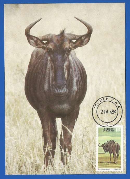 1984-Unused-Pre-Stamped Post Card-South West Africa-Maximum Card