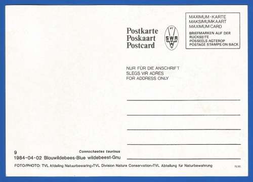 1984-Unused-Pre-Stamped Post Card-South West Africa-Maximum Card