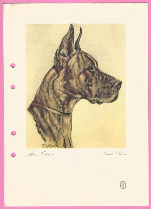 Collectable-Vintage-Menu-Lloyd Triestino-Luncheon-Monday April 1st 1968