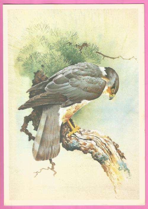 Collectable-Vintage-Menu-P&O Cruises-Sea Princess-Dinner-Thursday June 10 1982