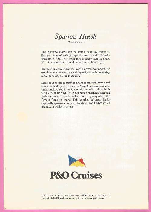 Collectable-Vintage-Menu-P&O Cruises-Sea Princess-Dinner-Thursday June 10 1982