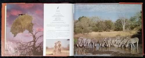 Book-African Wildlife-1999-111pg