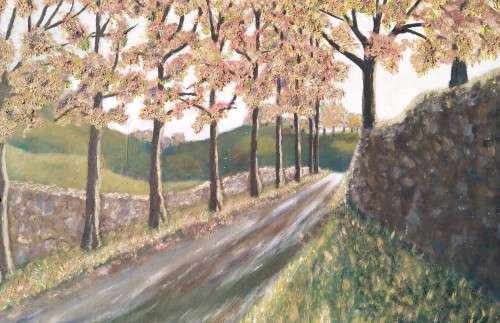 Oil Painting on Board-Woodland Scenery-Not signed.