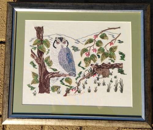 Framed Handmade Embroidery-Owl-Wall Decor