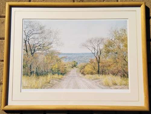 Collectable Framed Print of JH Coetzee `97- Limited edition 500/1000-Wall Decor Art
