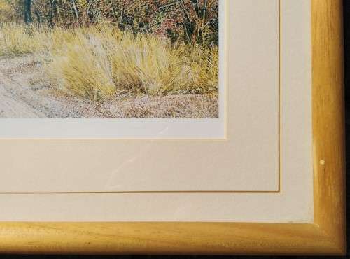 Collectable Framed Print of JH Coetzee `97- Limited edition 500/1000-Wall Decor Art