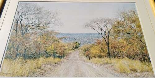 Collectable Framed Print of JH Coetzee `97- Limited edition 500/1000-Wall Decor Art