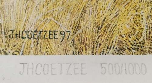 Collectable Framed Print of JH Coetzee `97- Limited edition 500/1000-Wall Decor Art