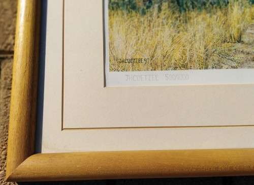 Collectable Framed Print of JH Coetzee `97- Limited edition 500/1000-Wall Decor Art