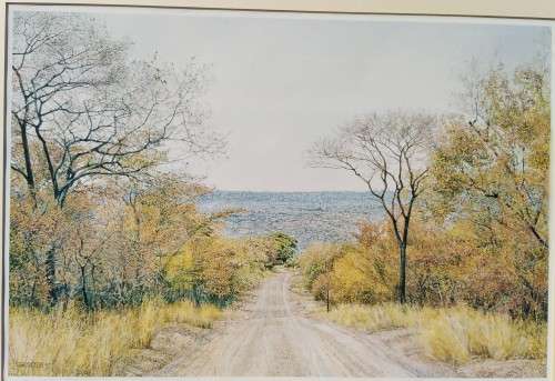 Collectable Framed Print of JH Coetzee `97- Limited edition 500/1000-Wall Decor Art