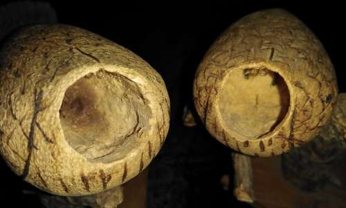Pair Bobbin-head Handcrafted Wood and Cork Birds