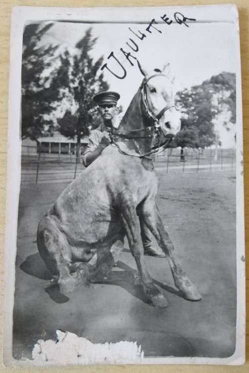 Collectable Vintage Old Post Card