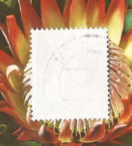 Germany-Used Single Stamp