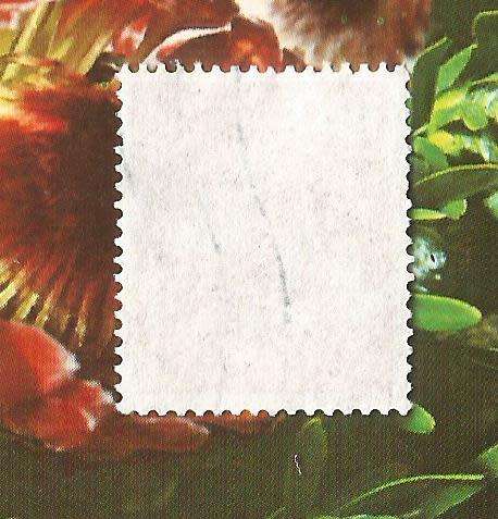 Germany-Used Single Stamp