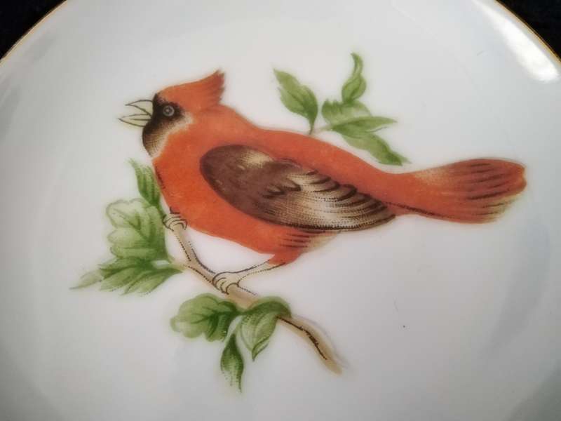 Display plate. Red Crested Finch from S. America. No Name. 10.5cm in Diameter