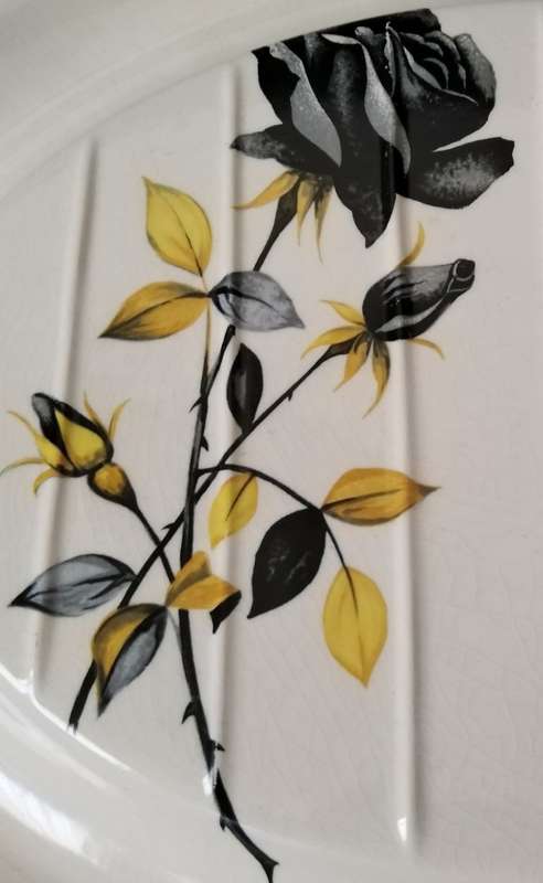 Palissy pair of `Black Prince` Meat platters 30.5cm long