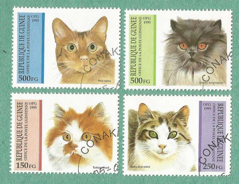 Guinea Used 1995 Cats
