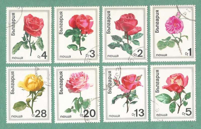 Bulgaria Used 1970 Roses