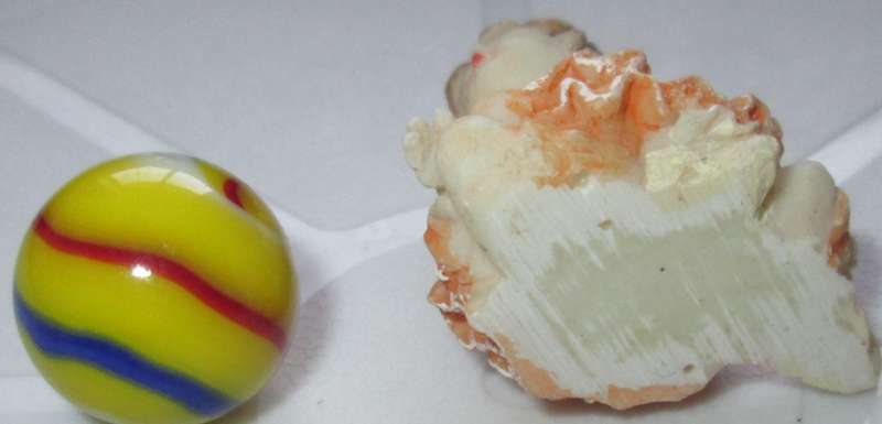 Collectables/Ornament/Figurine/Miniature Baby