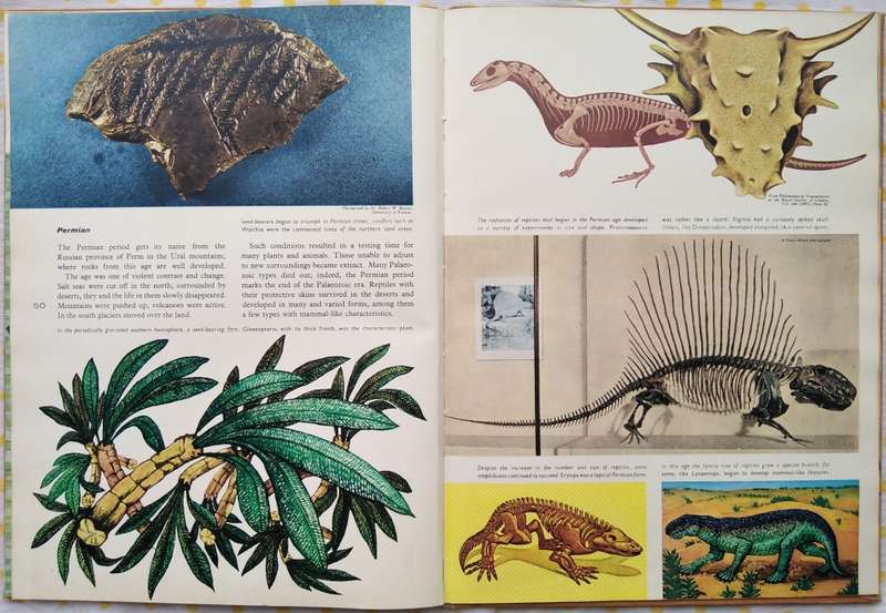 Book-1958-The Story of Evolution-Sir Julian Huxley/69pages.