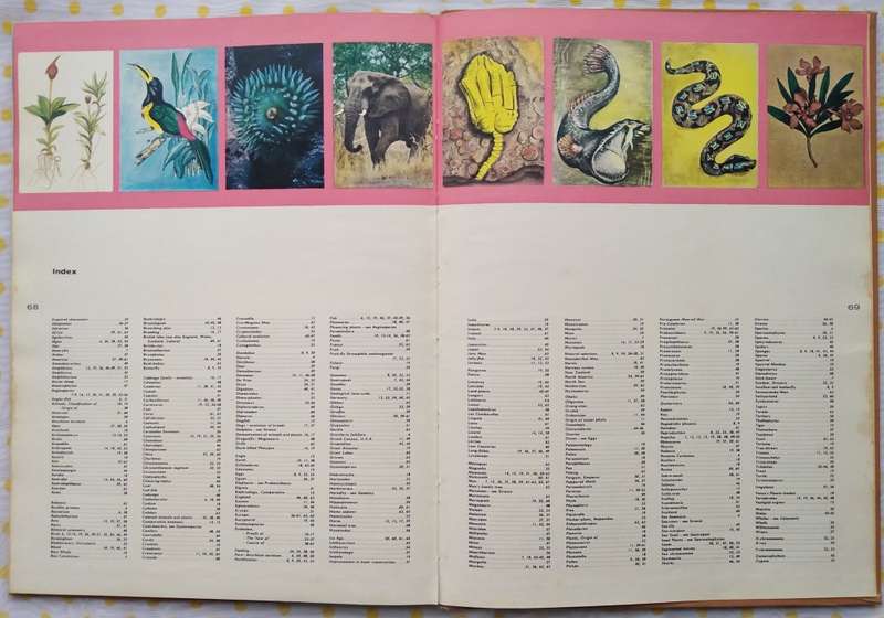 Book-1958-The Story of Evolution-Sir Julian Huxley/69pages.