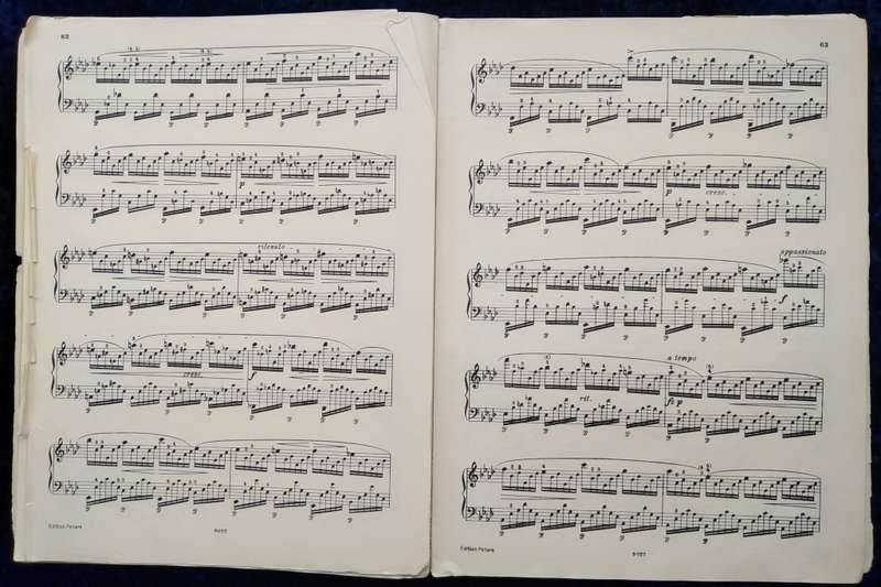 Book-Edition Peters/Nr 1907/CHOPIN/ETUDEN/Scholtz-V.Pozniak