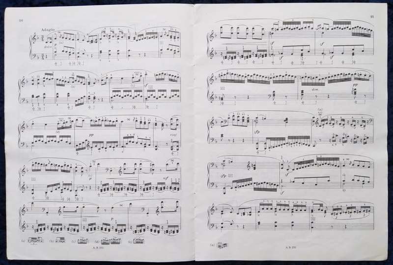 Book-Beethoven Sonatas for Pianoforte