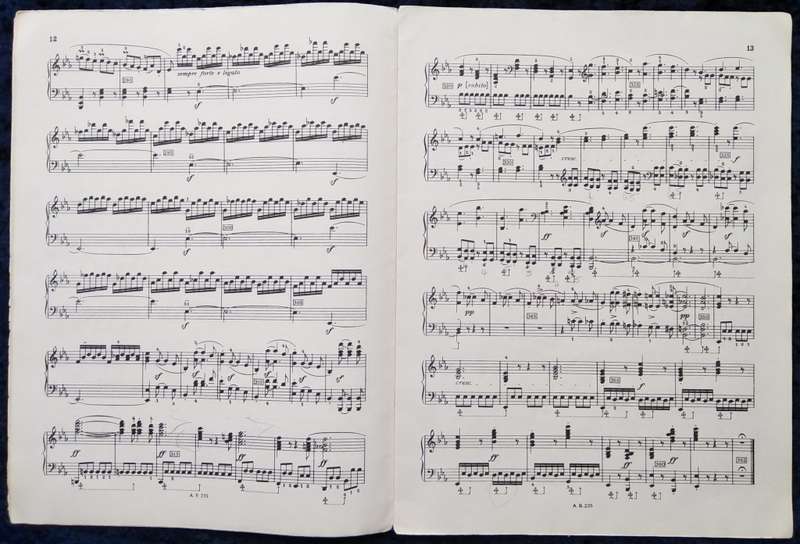 Book-Beethoven Sonatas for Pianoforte