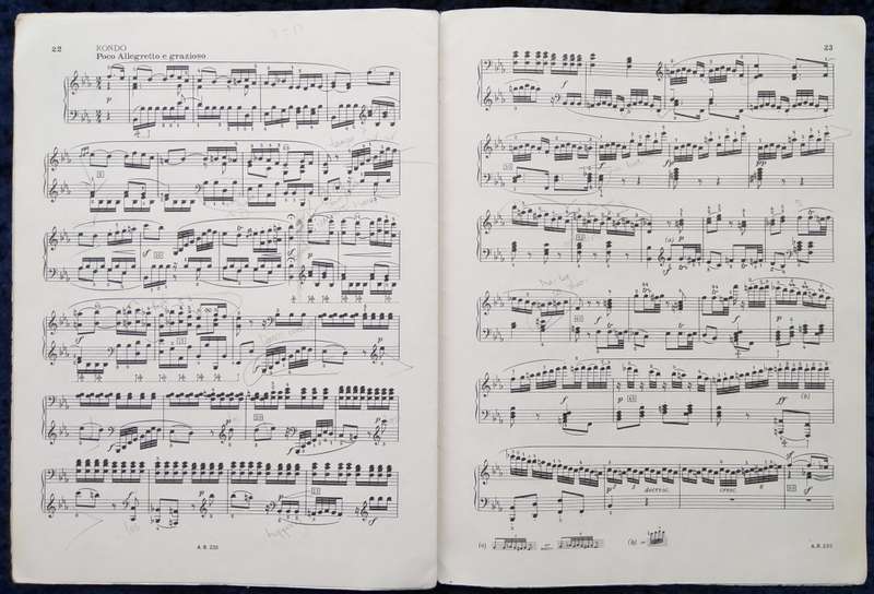 Book-Beethoven Sonatas for Pianoforte
