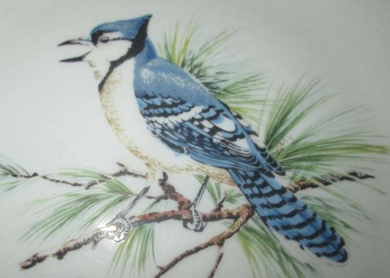 Home Decor-Display Plate-Constantia Fine China R.S.A. Blue Bird Scenery